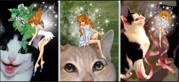 other_mistycard